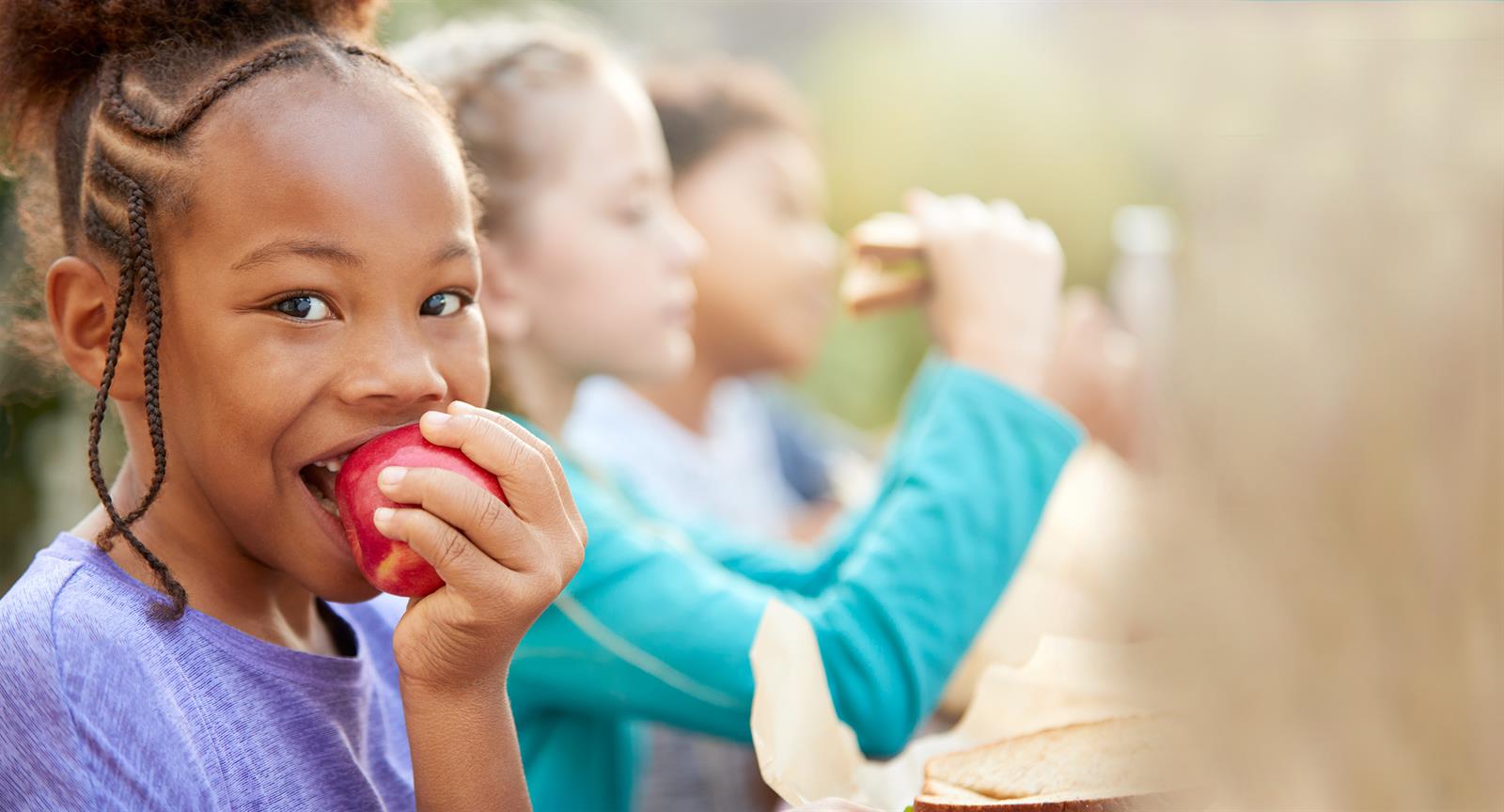 Donate Ottawa Food Bank