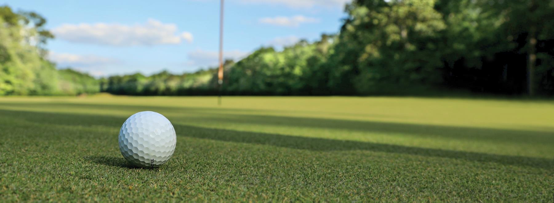 Home Tee Off for Mackenzie Health 2022